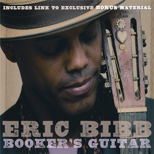 Booker's Guitar cover