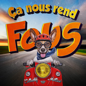 Ça nous rend fous cover