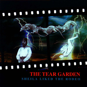 Sheila Liked the Rodeo album