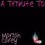 A Tribute to the Hits of Mariah Carey Albumcover