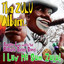 I Love Me Some Zulu cover