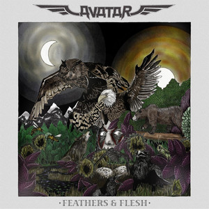 Feathers & Flesh album