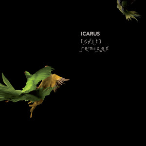 Sylt Remixes cover