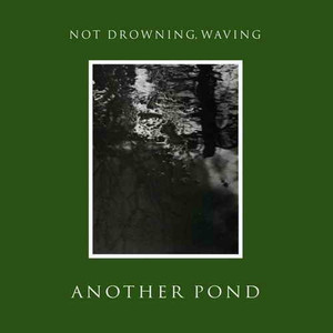 Another Pond album