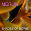 Shades of Bowie Albumcover