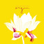 Origami cover