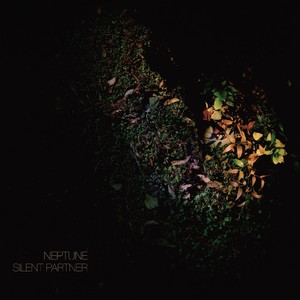 Silent Partner Albumcover