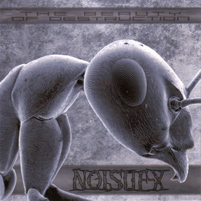 The Beauty Of Destruction cover