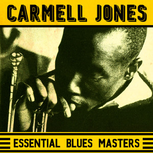 Essential Blues Masters album