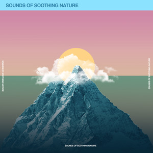 Sounds of Soothing Nature album