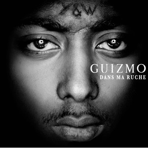 Dans ma ruche cover