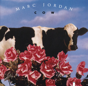 Cow album