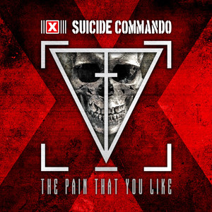 The Pain That You Like cover