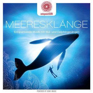 entspanntSEIN - Meeresklänge (Entspannende Musik mit Wal- und Delphingesängen) cover