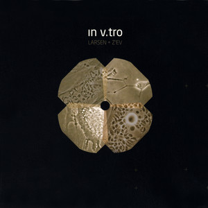 In V.Tro album
