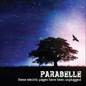 These Electric Pages Have Been Unplugged cover