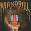 Mandrill cover