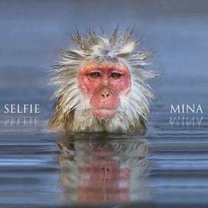 Selfie cover