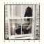 Retrospective cover