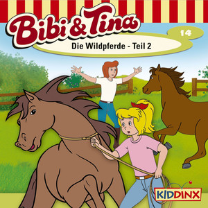 Folge 14: Die Wildpferde - Teil 2 Audiobook