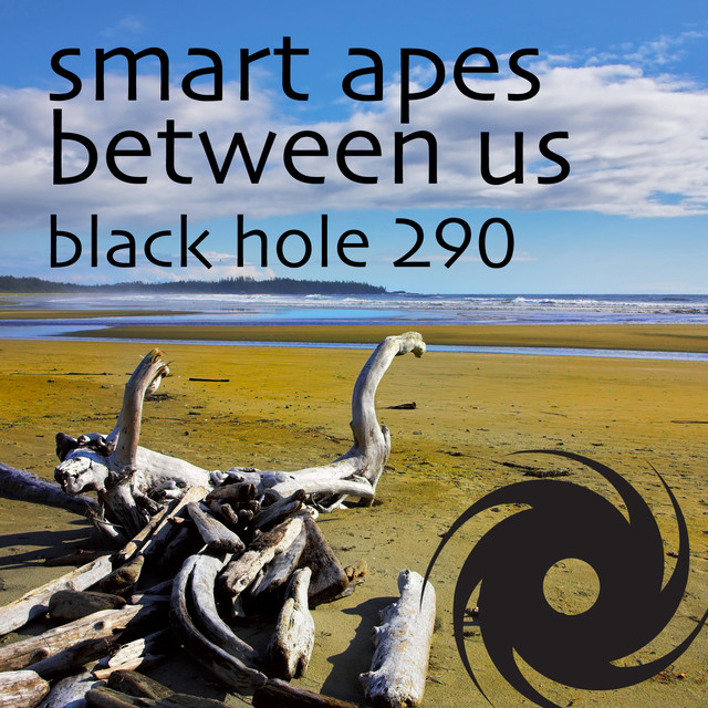 Smart Apes Photo