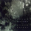 Bushes & Briars cover