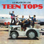 Lo Mejor de los Teen Tops cover