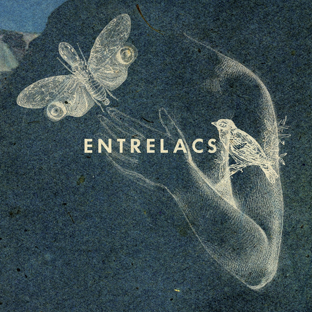 Entrelacs Photo