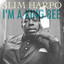 I'm a King Bee cover