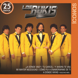 Íconos 25 Éxitos album