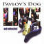 Live And Unleashed cover