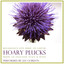 Hoary Plucks: Renaissance Lute Music on Guitar cover