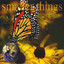 Smaller Things Albumcover