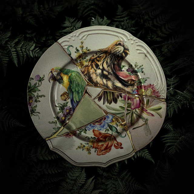 Wildernis cover
