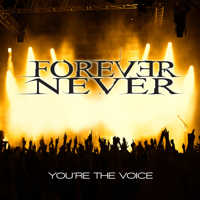 You're The Voice cover