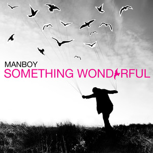 Something Wonderful cover