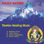 Tibetan Healing Music Albumcover