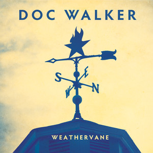 Weathervane cover
