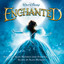 Enchanted cover
