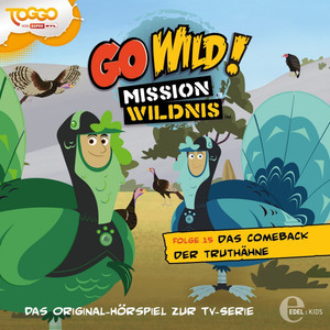 Folge 15: Das Comeback der Truthähne (Das Original-Hörspiel zur TV-Serie) Audiobook