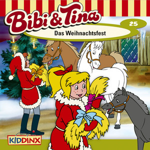 Folge 25: Das Weihnachtsfest Audiobook