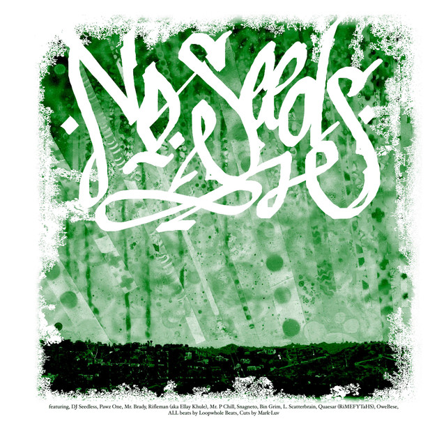 DJ Seedless Photo
