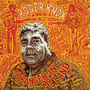 Stranger in My Land album