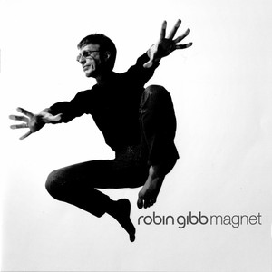 Magnet cover