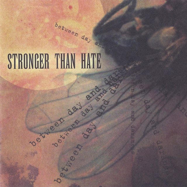 Stronger Than Hate Photo