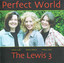 Perfect World cover