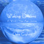 Waking Dreams Albumcover
