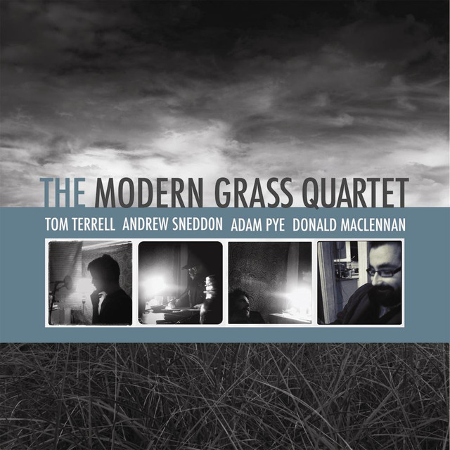 The Modern Grass Photo
