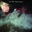Kidnapped by Neptune cover