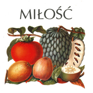 Miłość cover
